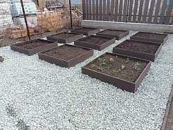 Доска 1000*200*20 мм